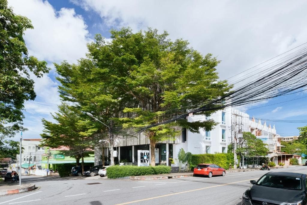 Blu Monkey Bed & Breakfast