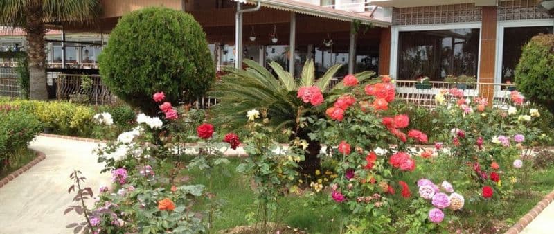 Royal Ideal Beach Hotel