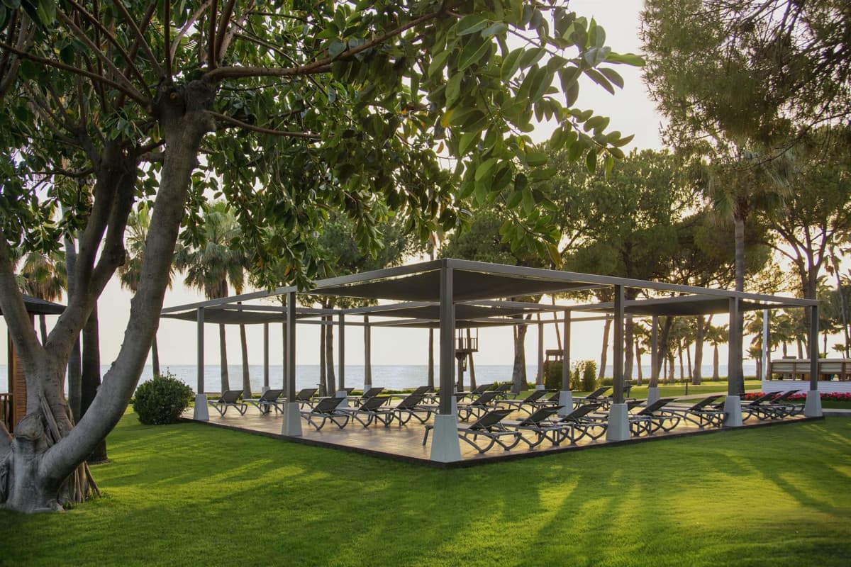 Acanthus & Cennet Barut Collection