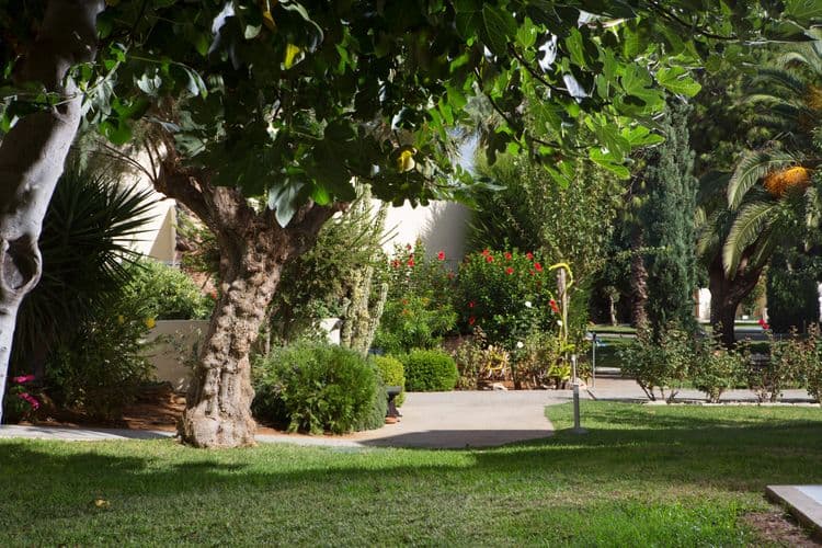 Cretan Malia Park Resort