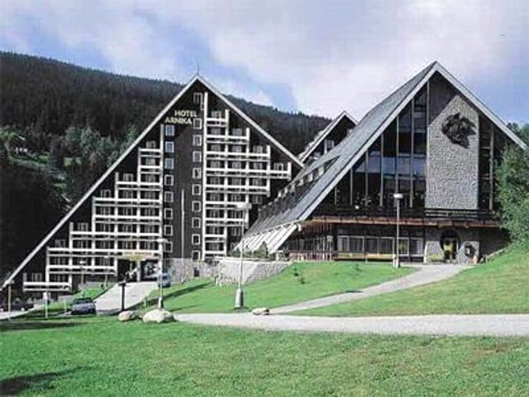 Arnika