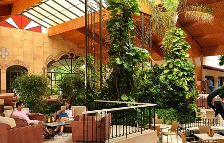 Iberostar Daiquiri