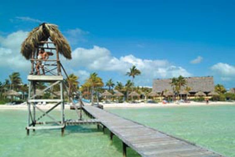 Melia Cayo Guillermo