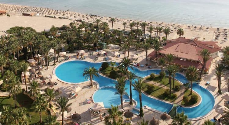 Riadh Palms
