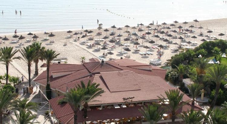 Riadh Palms
