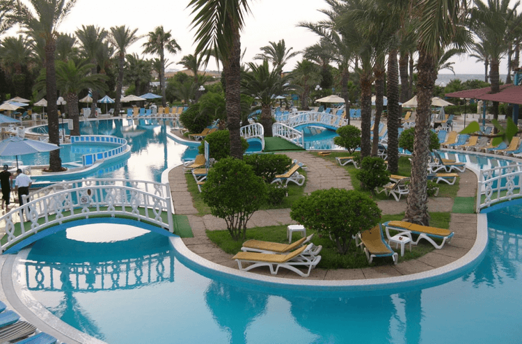 Riadh Palms