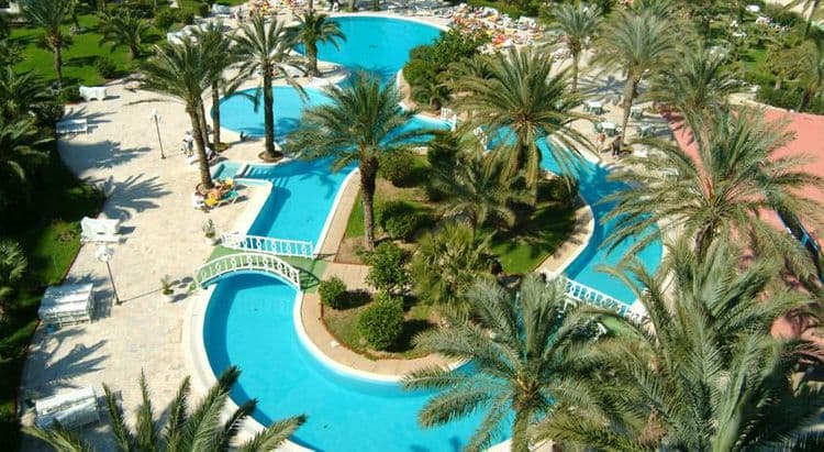 Riadh Palms