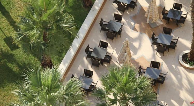 Riadh Palms