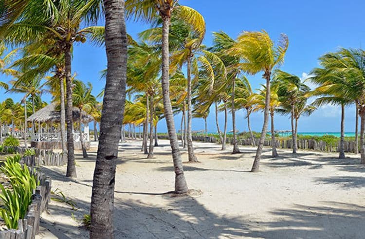 Sol Cayo Guillermo