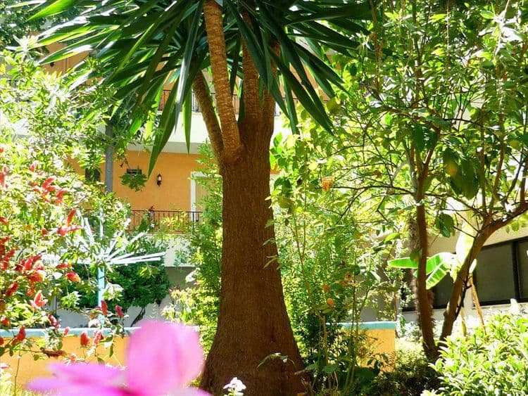 Alkionis Hotel