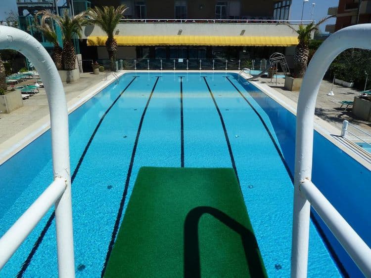 Cormoran (Cattolica)