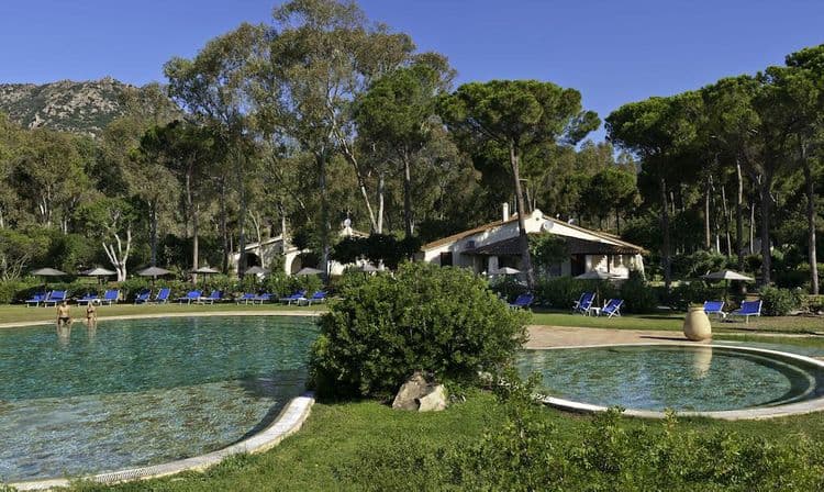 Is Morus Relais
