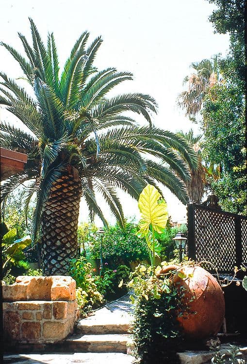 Dionysos Central Hotel