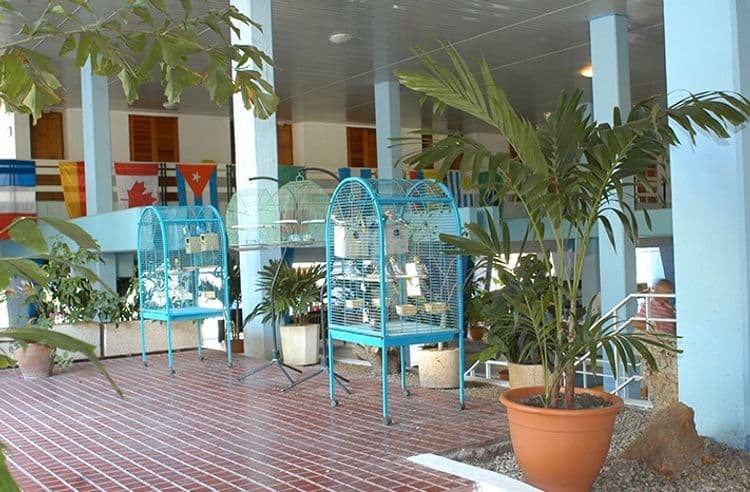 MarAzul Hotel