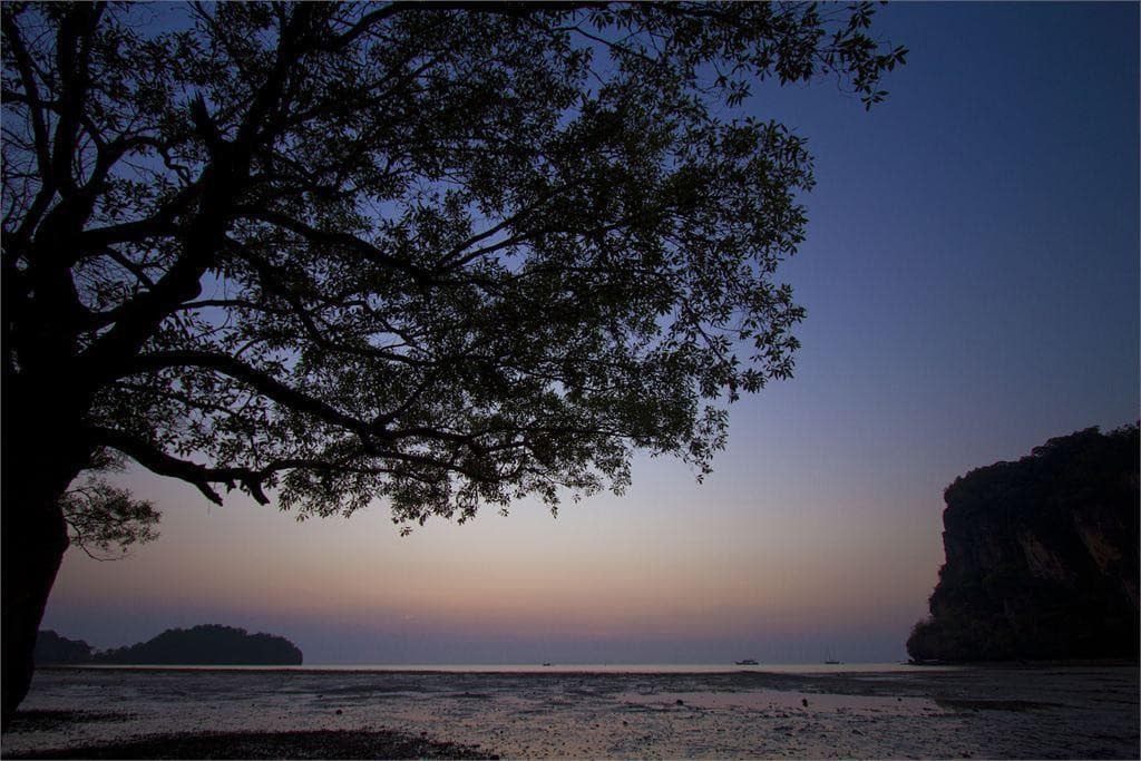 Sunrise Tropical Resort