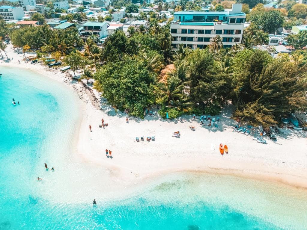 SEASON PARADISE