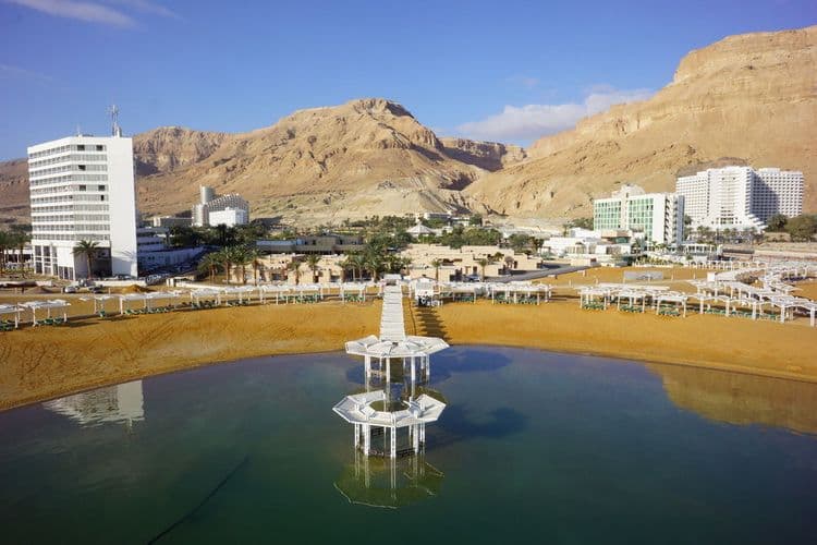 Orchid Dead Sea