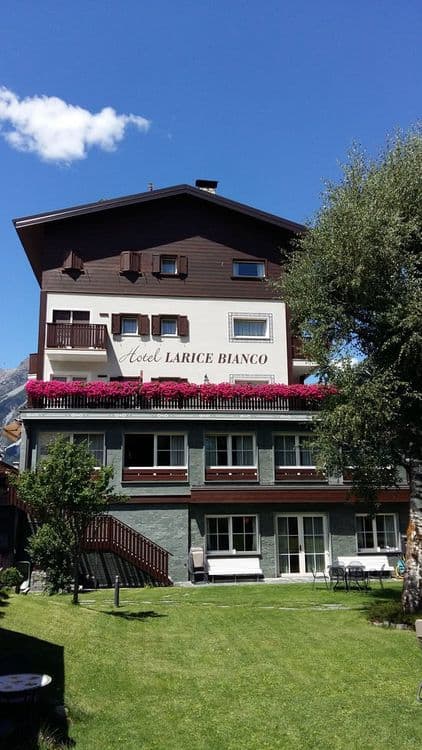 Larice Bianco