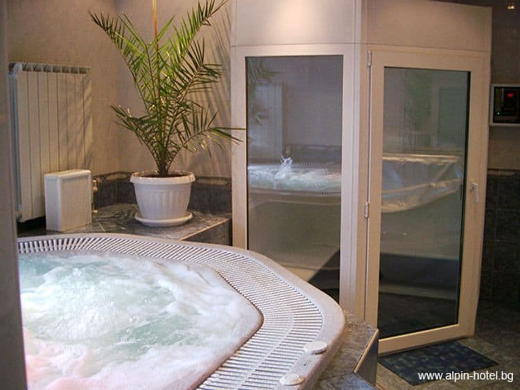 Alpin Hotel