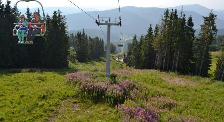 Захар Беркут