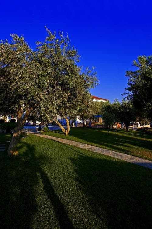 Flegra Palace
