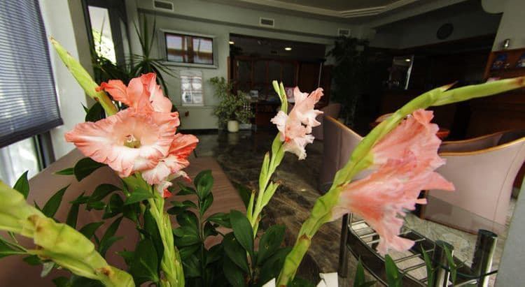 Villa Marija Hotel