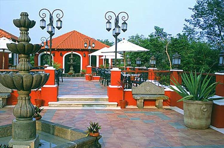 Occidental Cozumel