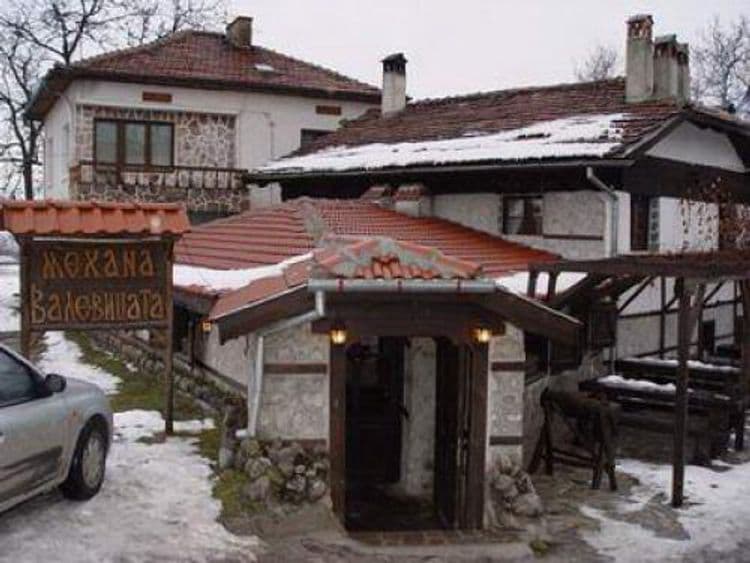 Valevitsata