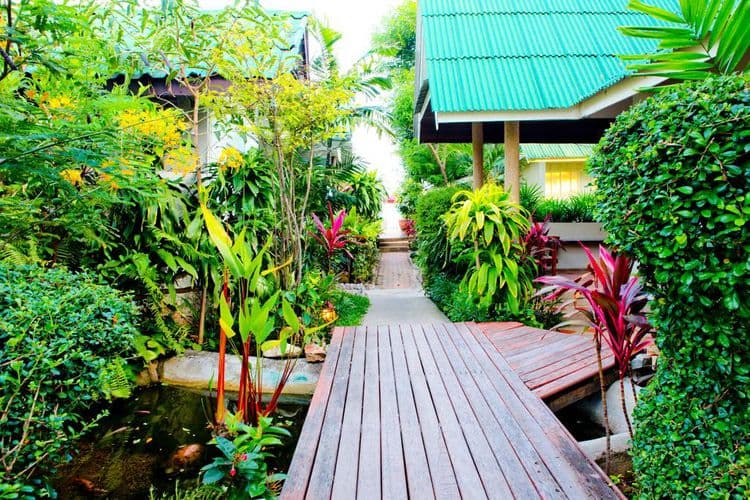 Samui Island Beach Resort & Hotel