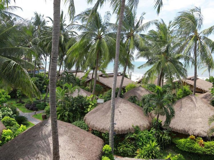 Bamboo Village
