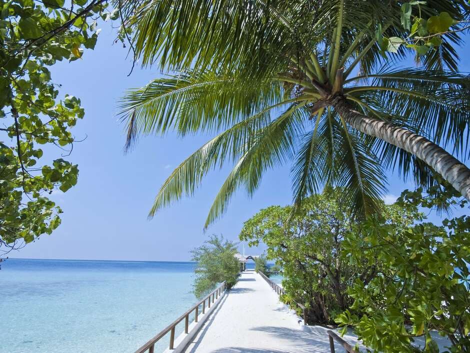 Makunudu Island Resort