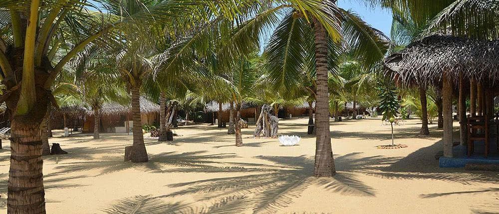 Dolphin Beach