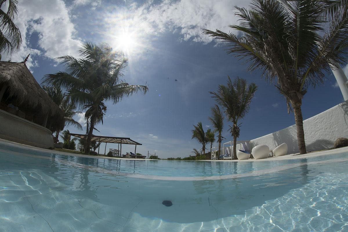 Dolphin Beach