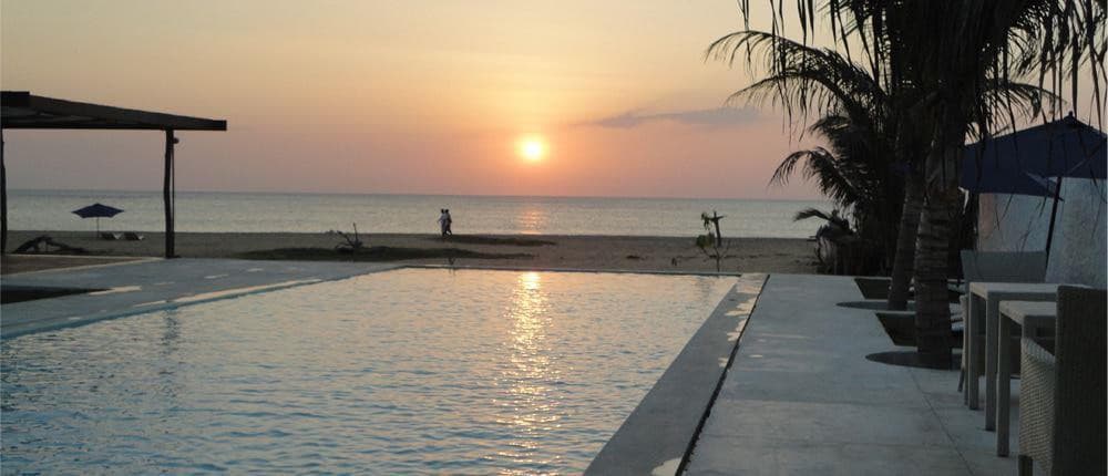 Dolphin Beach