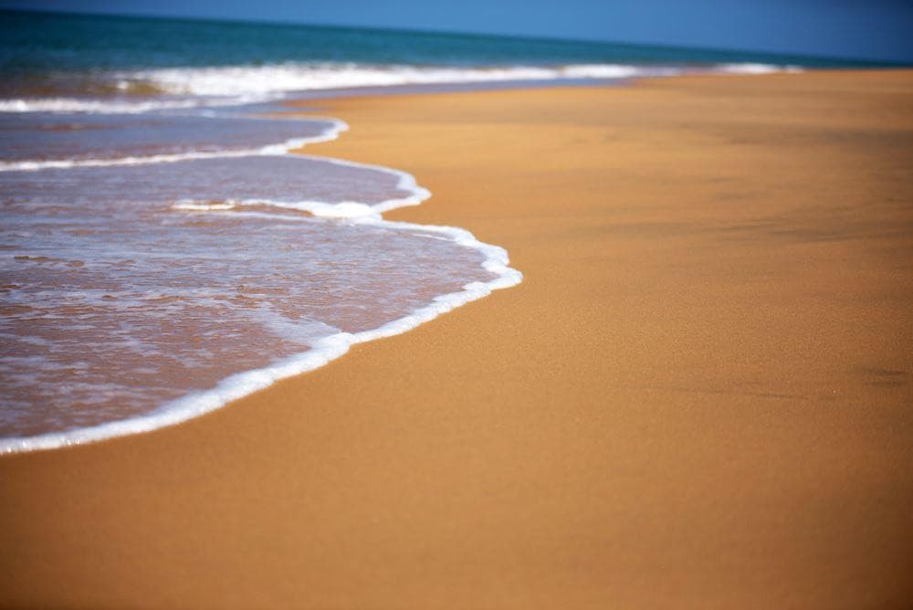 Dolphin Beach