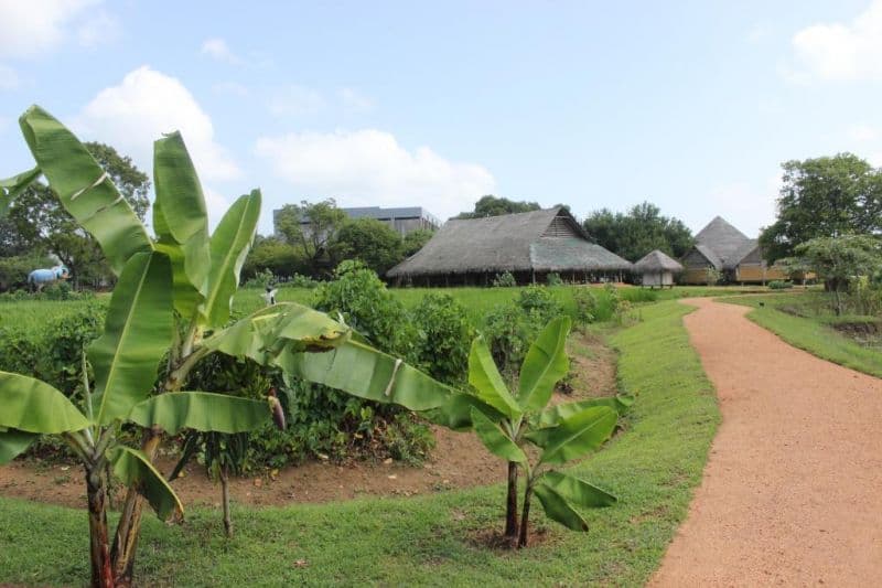Aliya Resort & Spa