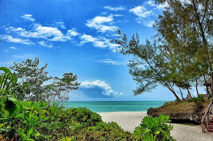 Pongwe Beach Hotel