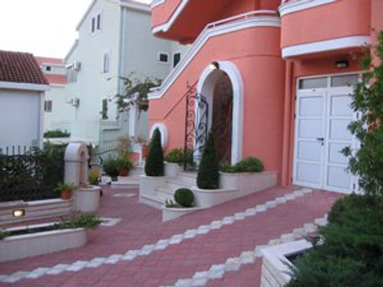 Koral