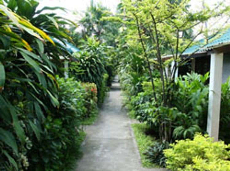 Evergreen Resort