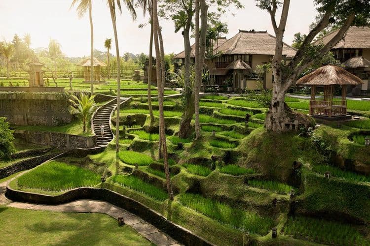 Kamandalu Resort