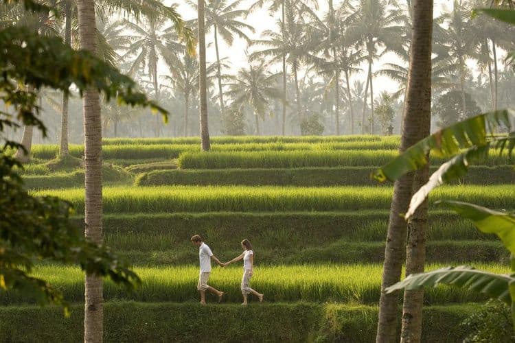 Kamandalu Resort