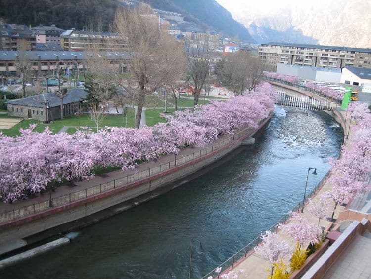 Acta Arthotel Andorra