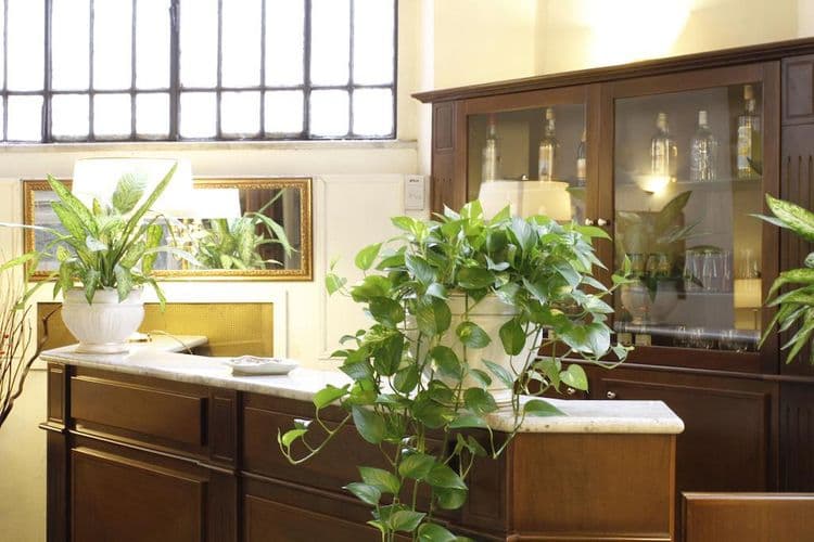 Viminale Hotel