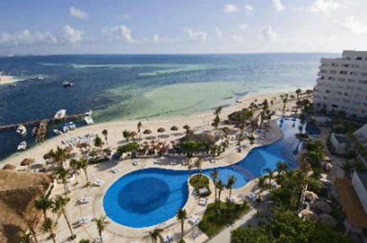 Grand Oasis Palm