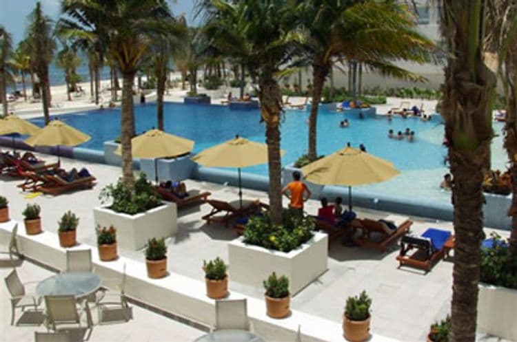 Grand Oasis Palm