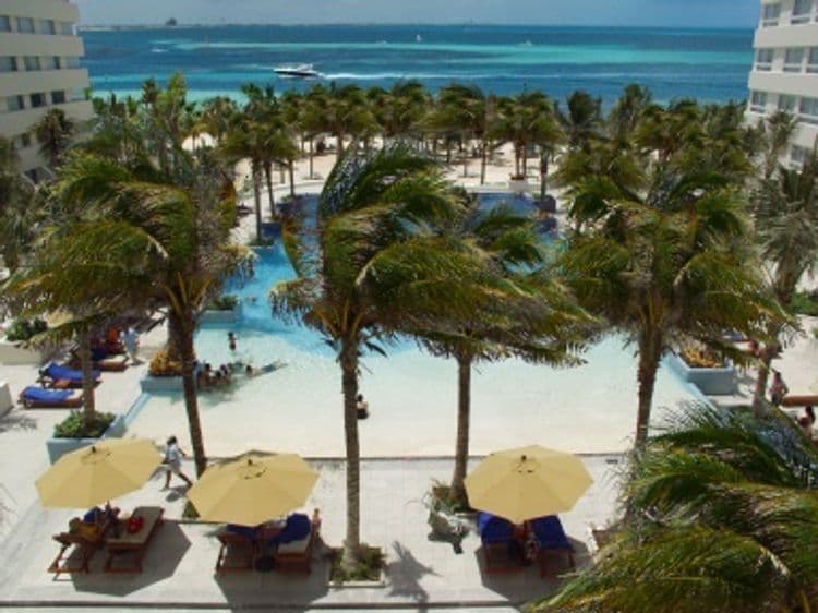 Grand Oasis Palm