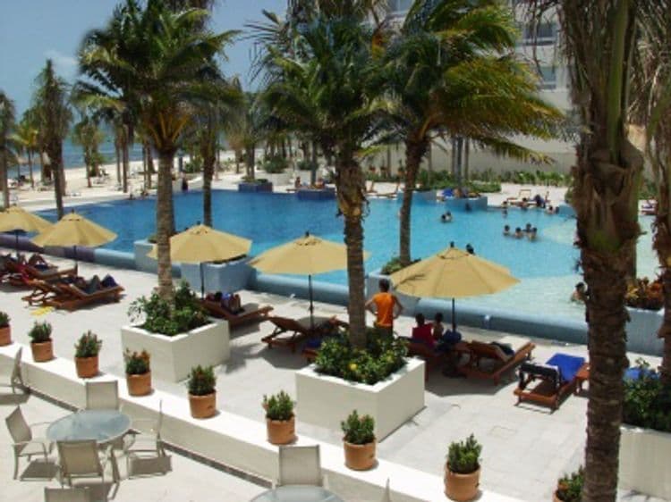 Grand Oasis Palm