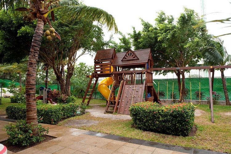 Oasis Palm