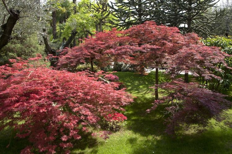 Abano Grand Hotel