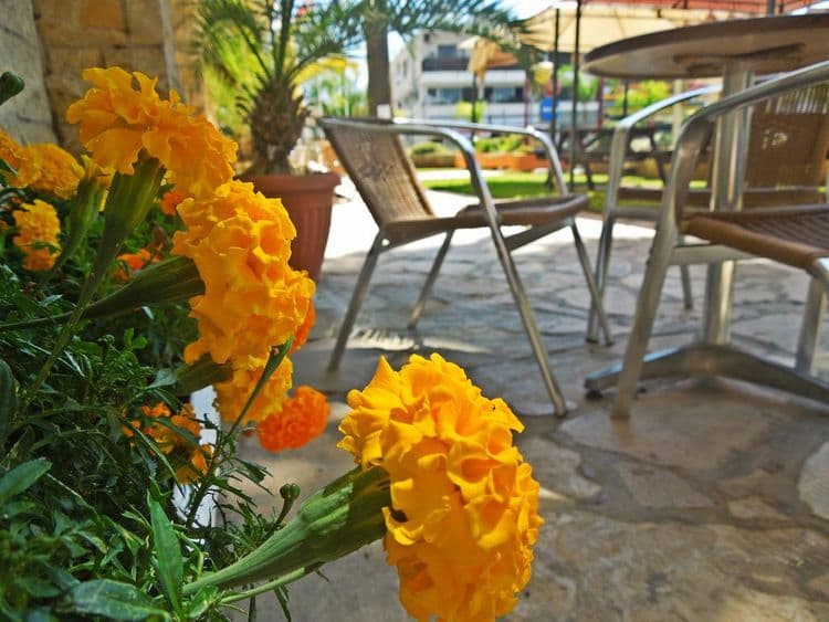 Estella Hotel & Apts
